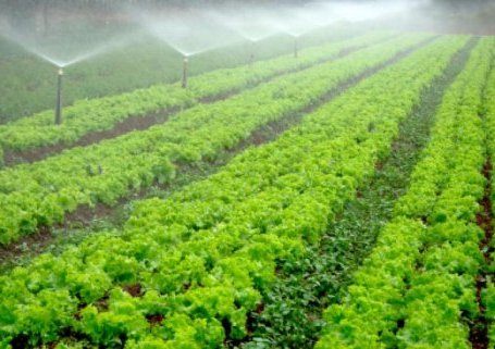 Promueven sistemas de riego para mejorar produccion agrícola