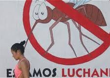 Encabeza Chihuahua reunión vs virus del zika