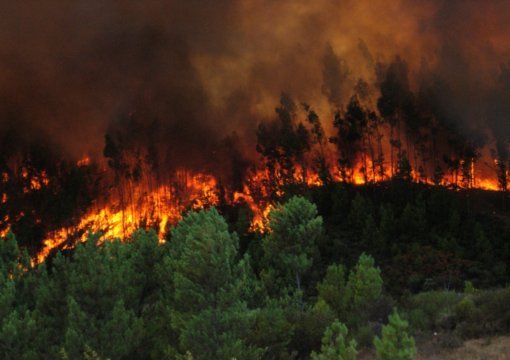 Recibe Chihuahua recursos para combatir incendios forestales