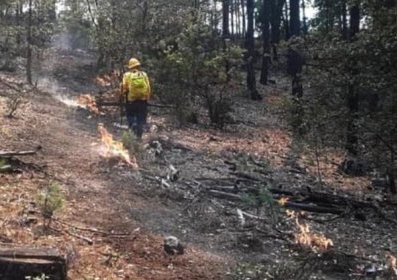 Tres incendios forestales en Chihuahua; 71 los combaten: Conafor
