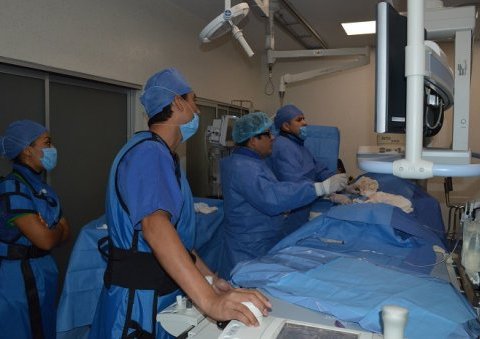 En ISSSTE Veracruz logran implante de válvula aórtica